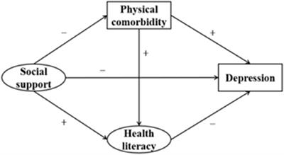 Physical Comorbidity and Health Literacy Mediate the Relationship Between Social Support and Depression Among Patients With Hypertension